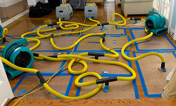 Professional Basement Flood Cleanup technician working in Sunderland, MA